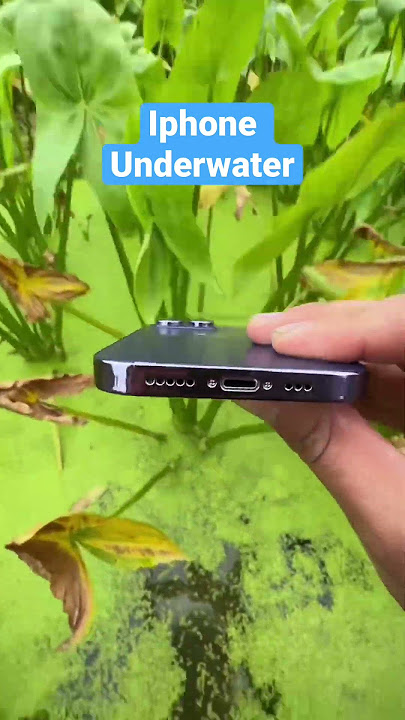 Underwater photography 😱|iphone 14 promax #youtubeshorts #underwater #iphone