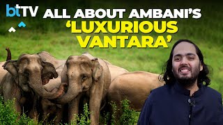 All You Need To Know About Anant Ambani’s Pet Project – The Vantara In Jamnagar