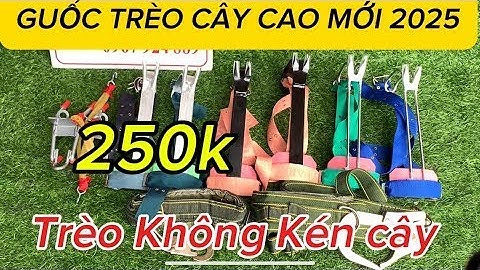 DỤNG CỤ TRÈO CÂY/ GUỐC LEO CÂY AN TOÀN GIÁ RẺ / DÂY ĐAI MÓC AN TOÀN MẪU MỚI NHẤT NĂM 2025