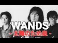 WANDS 太陽のため息