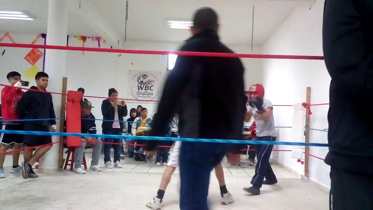 Box saltillo YouTube