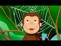立派なクモの巣! 🐵 おさるのジョージ