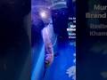 Baby arowana #arwana #aquarius #aquarium #viral-video