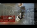 Middle of video