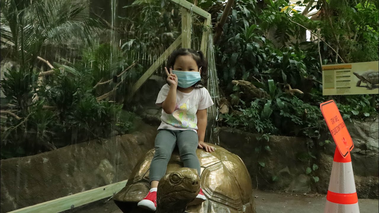 Minnesota Zoo - YouTube