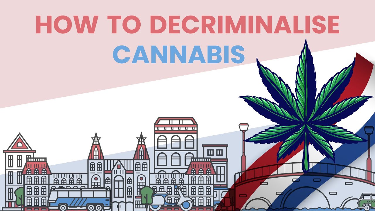 How the Netherlands Decriminalised Cannabis and What the U.S. Can Learn From Them
