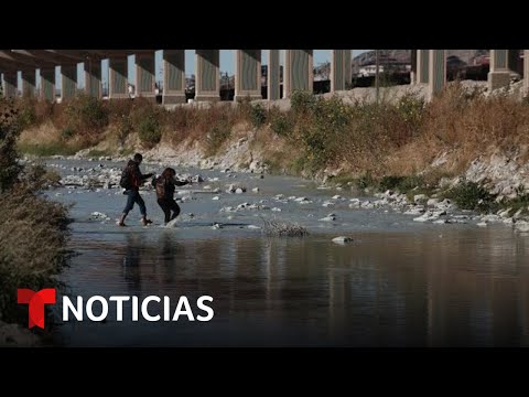 Video: La intimidación es cada vez más común entre los patos