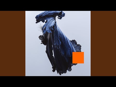 See Me - Talos