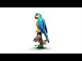 Video: LEGO® 31136 CREATOR Eksotisks papagailis