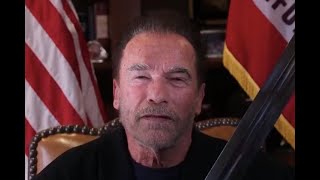Arnold Schwarzenegger took to Twitter with a video statement about the riots that took place at the