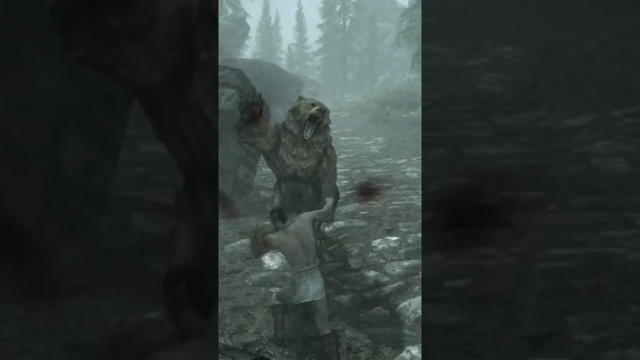 Meanwhile in Skyrim