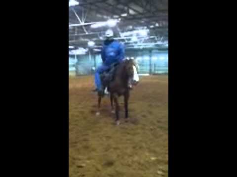 How to ride a horse backwards