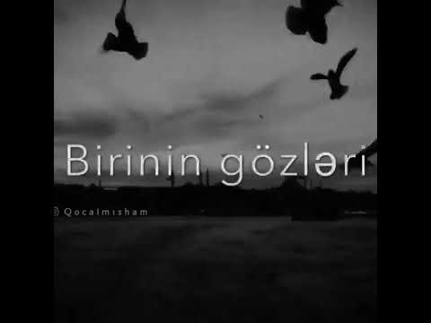 ömrümüz bir güle benzer