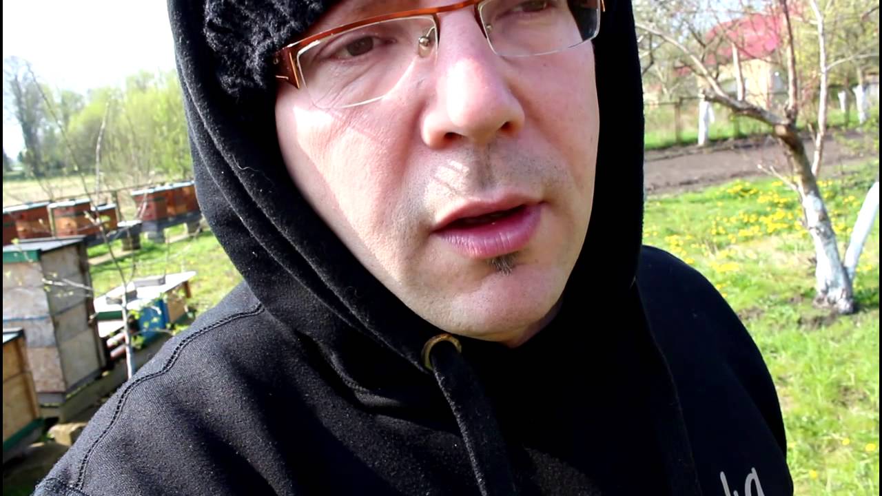 Pasieka 19 kwietnia - spacer