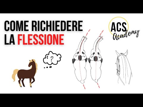 Video: Il cavallo ottiene una medaglia nel dressage?