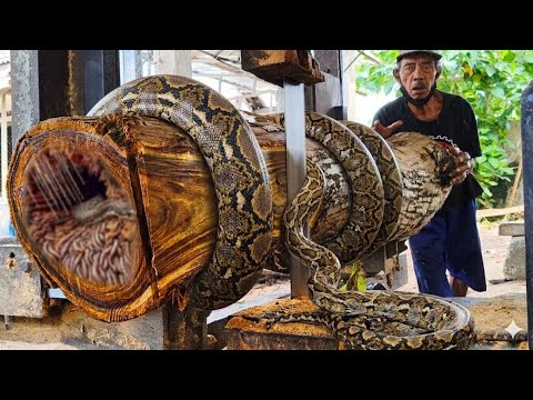 Where to start, a complicated discovery, crooked and bumpy teak wood 