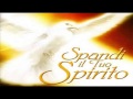 Spandi il Tuo Spirito (2006) - Corale Di Palmi (Full Album)