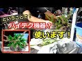 水槽立ち上げ!ハイテク機械を思う存分使っての・・!?