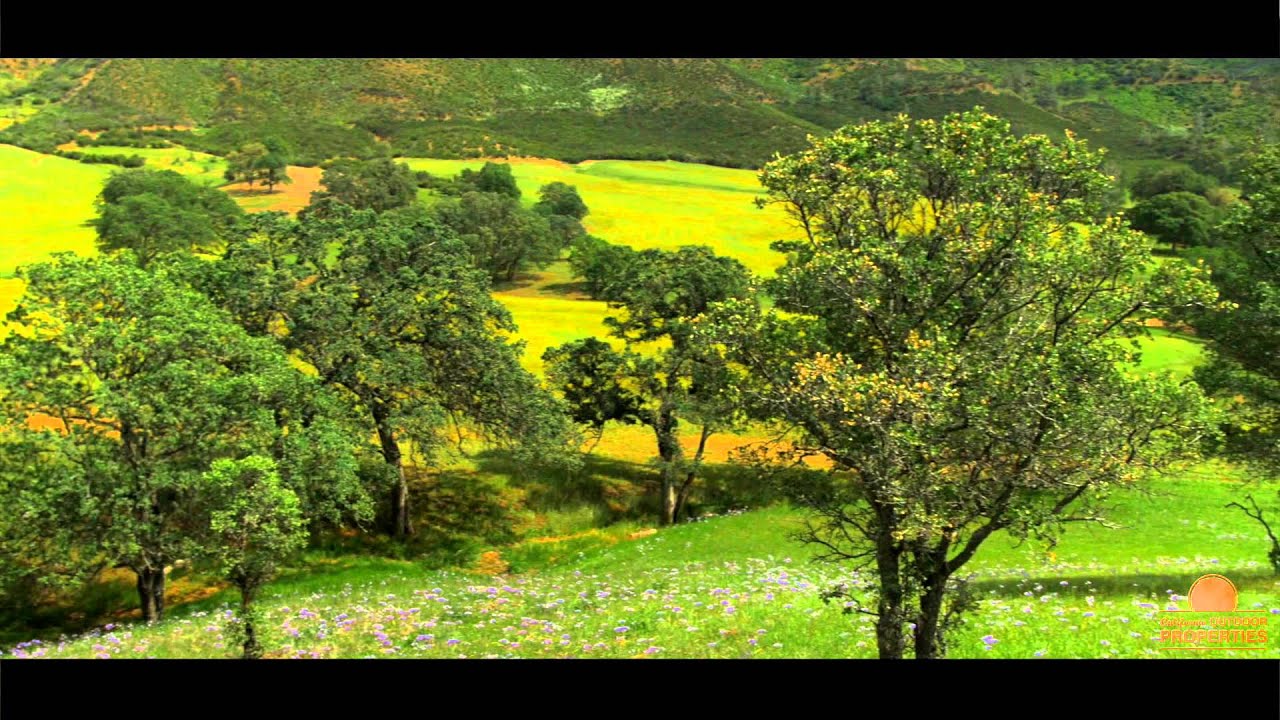 The Incredible Windover Farms | Colusa County, California