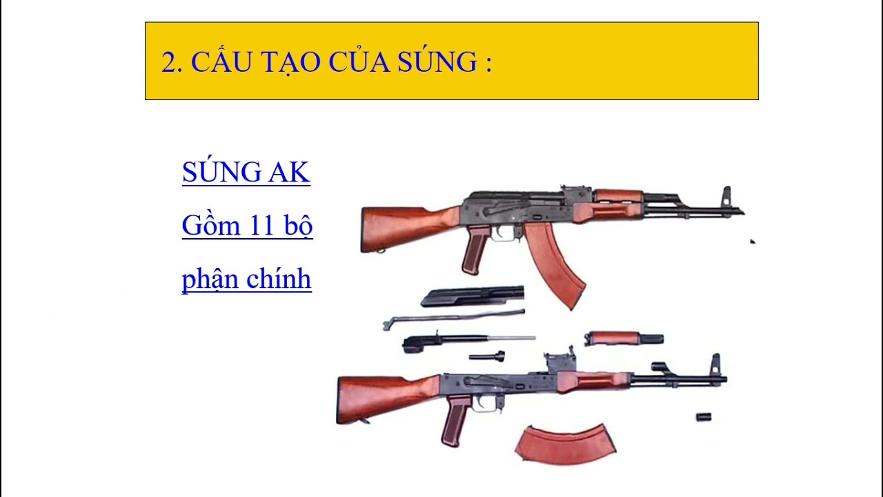 GDQP AN Lớp 11 Bài 4 Giới thiệu súng tiểu liên AK và súng trường CKC ...