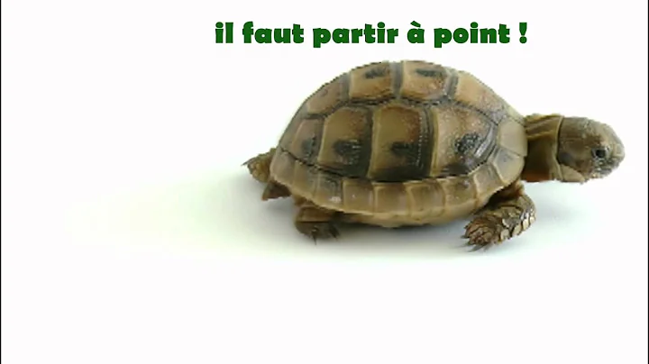 DavidGenest SuiviDeMouvement