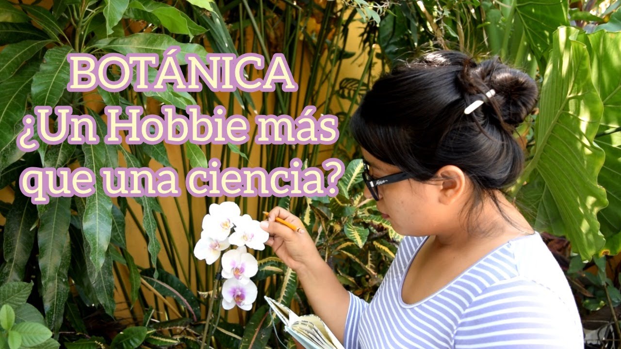 Botánica de las Plantas / Importancia de estudio - Plantas medicinales - Laboratorio y campo.