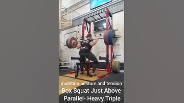 Box Squat Just Above Parallel