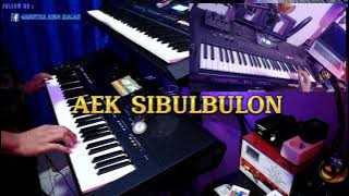 AEK SIBULBULON ||| Gondang Batak Versi Keyboard Yamaha PSR SX900 ft PSR E463 F= Do