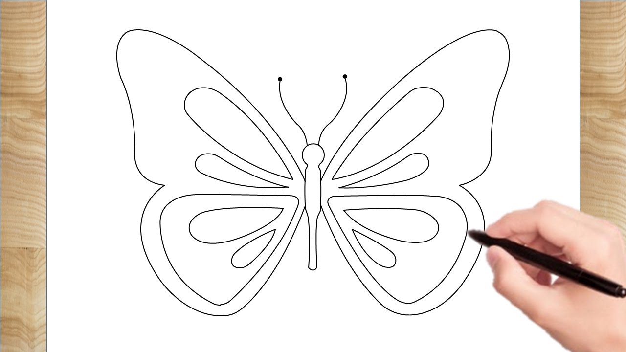 How To Draw A Butterfly Outline