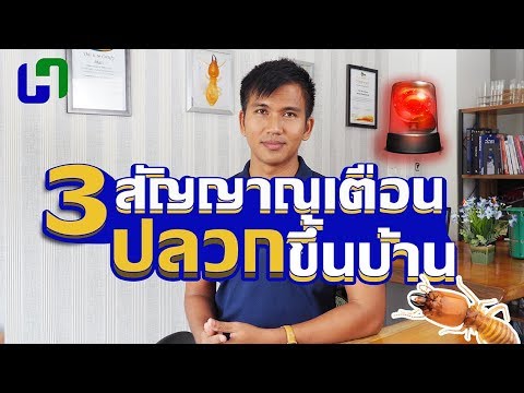 วีดีโอ: ปลวกเข้ามาในบ้านได้อย่างไร?