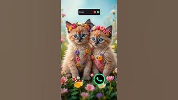cat is calling #ringtone #smartphone #music #ringtones #song #iphone #cat #funnycallringto #callm