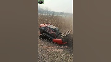 remote control flail mower for sale online with best price shipping to Europe #lawnmowingbusiness