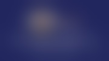 Udayan Bose CEO POV - Udayan