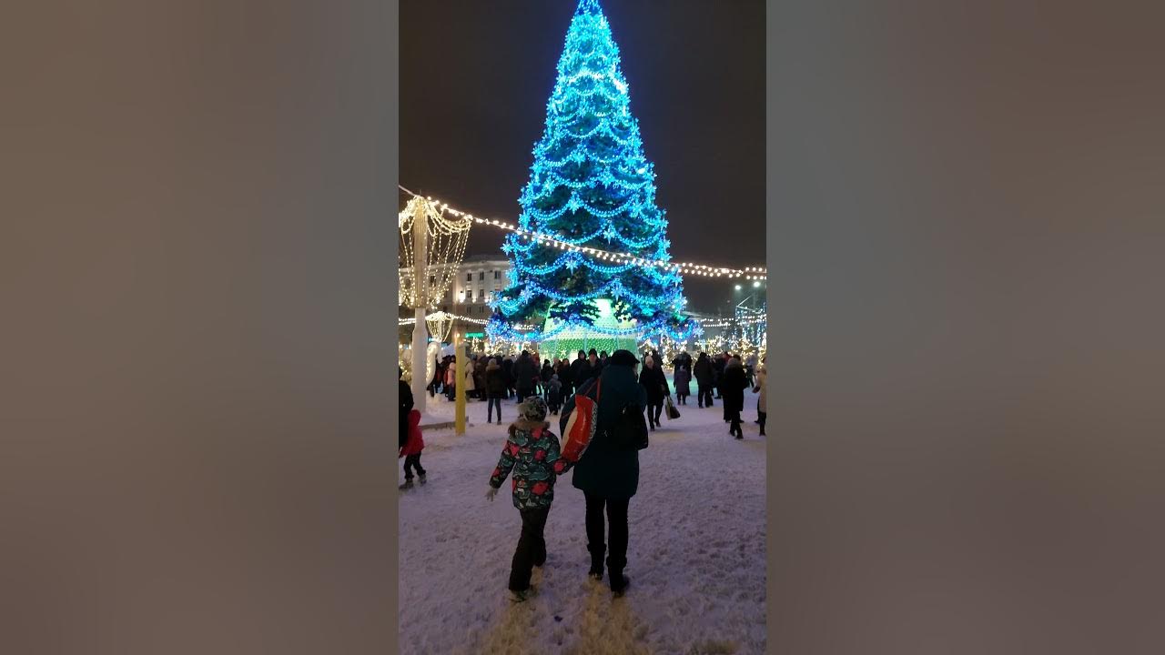 когда уберут елку на площади воронеж. елка на площади ленина воронеж. площадь ленина воронеж елка 2021. воронежская елка 2023. когда уберут елку на площади воронеж.