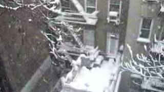 New York City Snowstorm 2006
