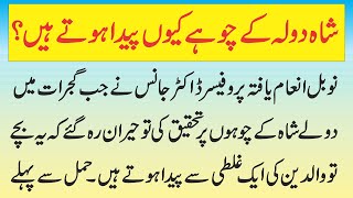 Shah Dola Ke Choohay Complete Information In Urdu Dolay Shah Ki Chui Complete Story Of Chui