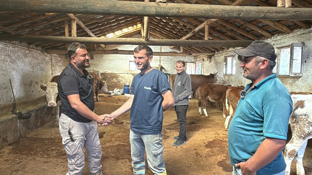 KÖYLERDEYİZ DANA PEŞİNDE