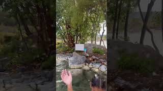 Polynesian spa Rotorua New Zealand  #spa #nznature #nature #swimmingpool #music #beauty #nztourism