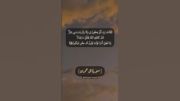 سورة آل عمران الآية ٤٥ الى ٤٧ بصوت الشيخ محمد صديق المنشاوي