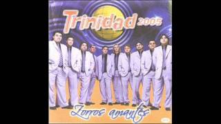 Video thumbnail of "GRUPO TRINIDAD - es una noche para amar"