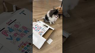 Celebrity Scout BREAKS the vending machine!!! 😲😭 @MrsBench Profile