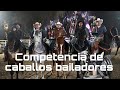 Concurso de caballos bailadores en Rancho Las Águilas Granger Wa By Leobardini Films