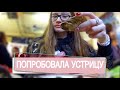 ПЕРВЫЙ РАЗ ЕМ УСТРИЦЫ//танцую на улице КРАСНЫХ ФОНАРЕЙ в ГАМБУРГЕ