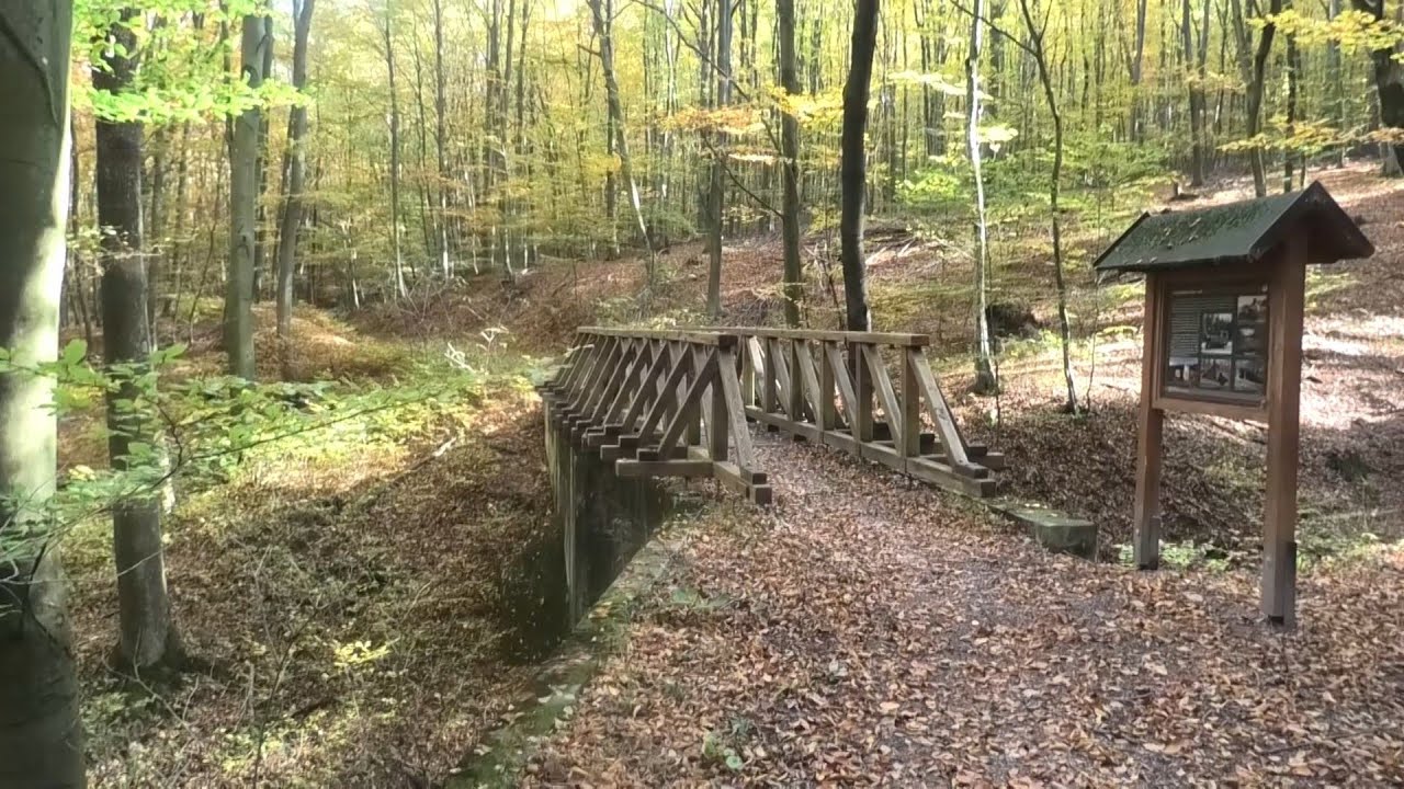 Lesna Zeleznica Trencin - Selec