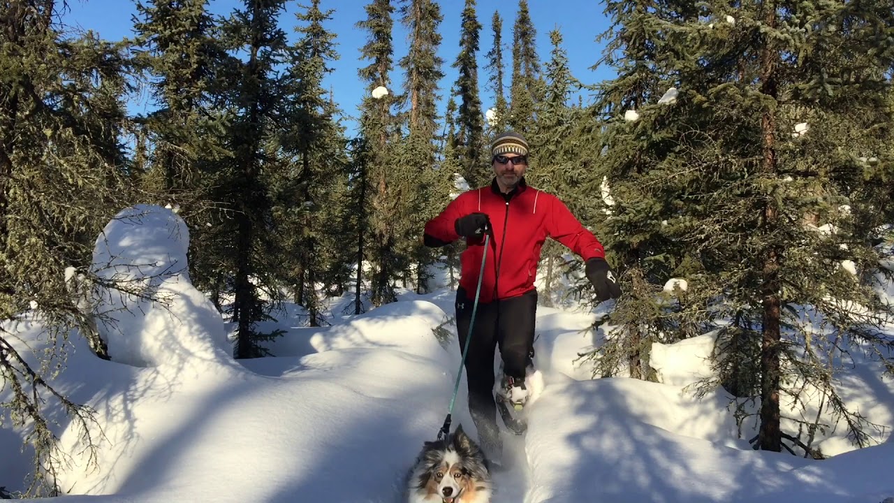 OT Racing Snowshoeing With Kili.