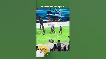 Đỉnh cao robot Trung Hoa