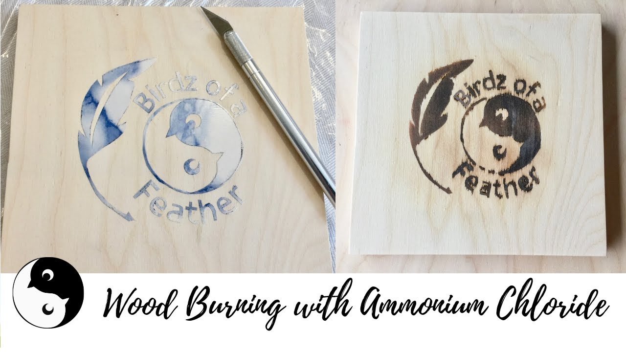 Wood Burning with Ammonium Chloride (A Guide) - Birdz of a Feather