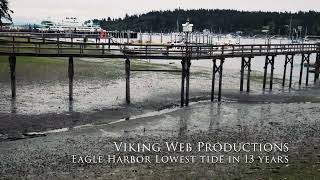 Extreme Low tide on Bainbridge Island