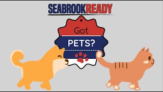 Preparing your Pets for Hurricane Season