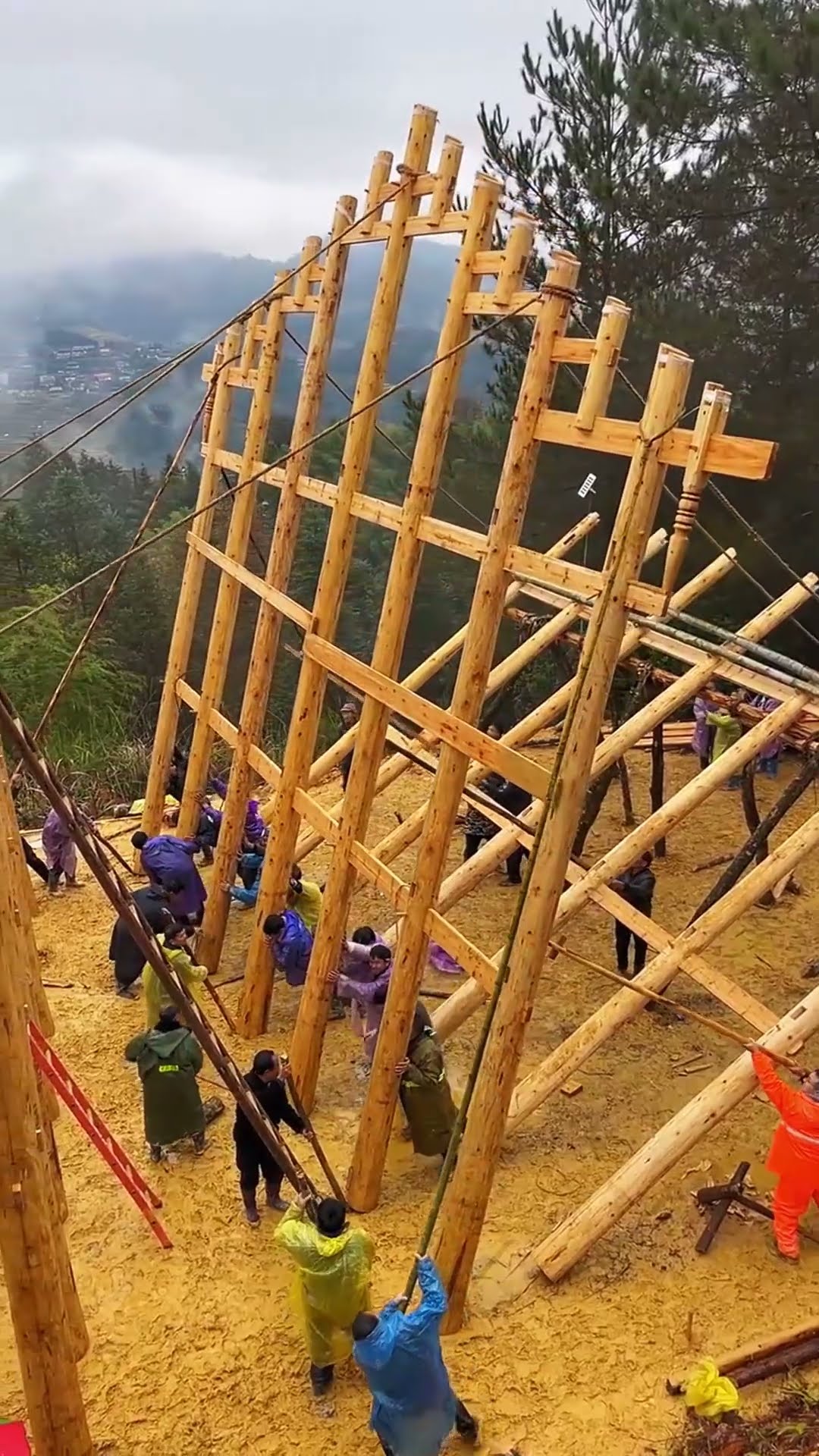Wood house building process
